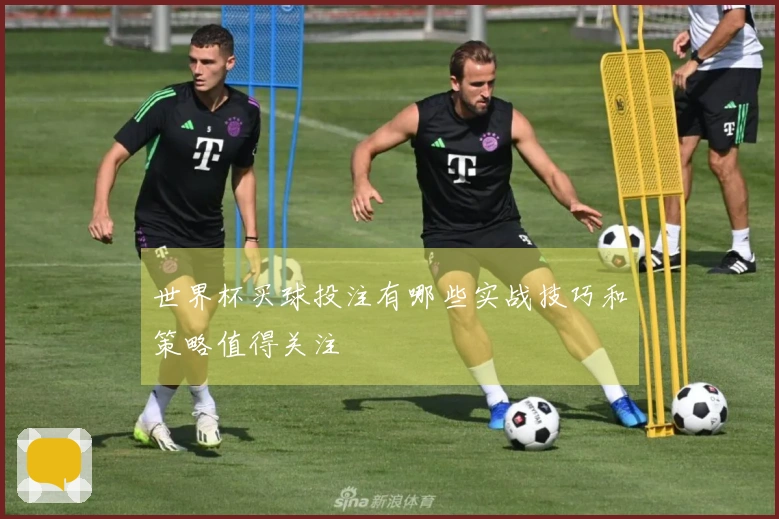 世界杯买球投注有哪些实战技巧和策略值得关注