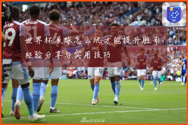 世界杯滚球怎么玩才能提升胜率，经验分享与实用技巧