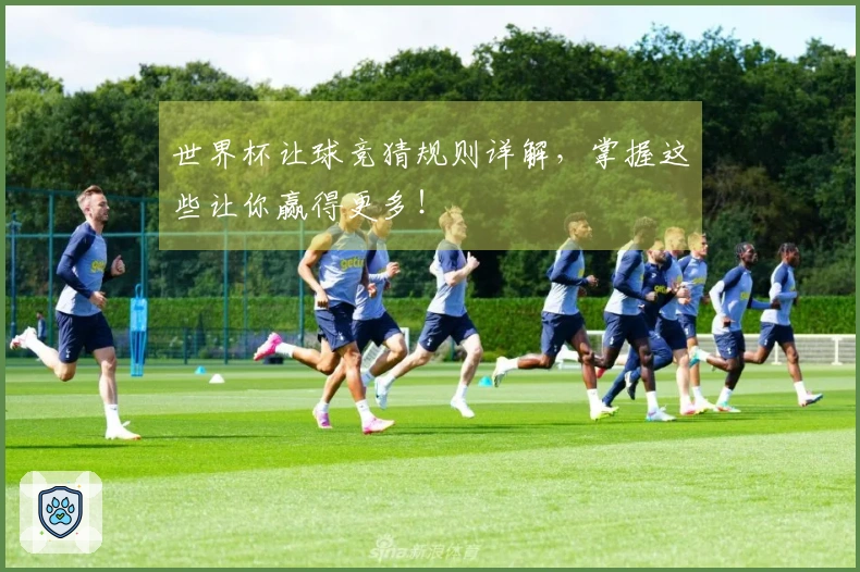 世界杯让球竞猜规则详解，掌握这些让你赢得更多！