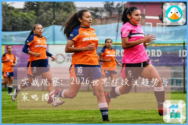 实战观察：2026世界杯投注趋势与策略揭秘