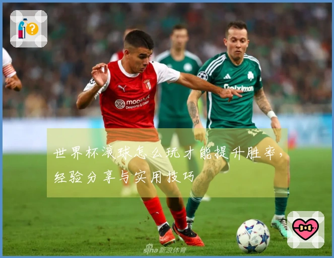 世界杯滚球怎么玩才能提升胜率，经验分享与实用技巧